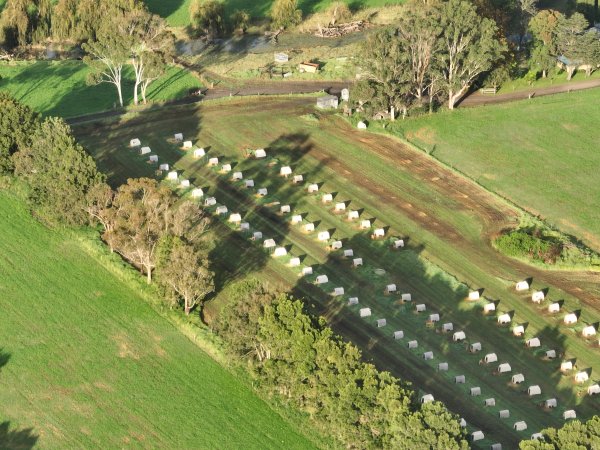 NSW Dairy Calf Crates - 2025