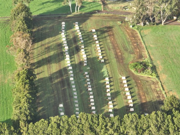 NSW Dairy Calf Crates - 2025