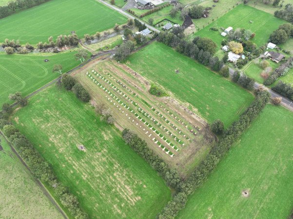 NSW Dairy Calf Crates - 2025
