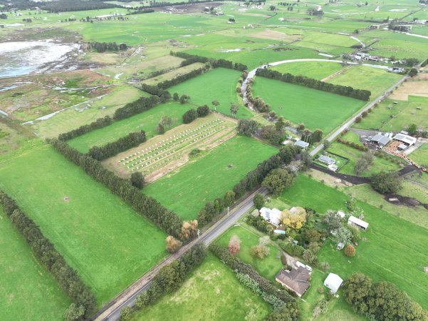 NSW Dairy Calf Crates - 2025