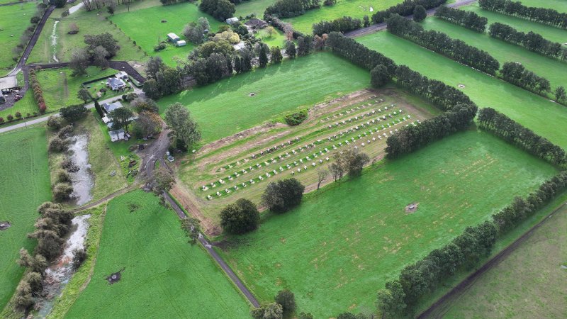 NSW Dairy Calf Crates - 2025