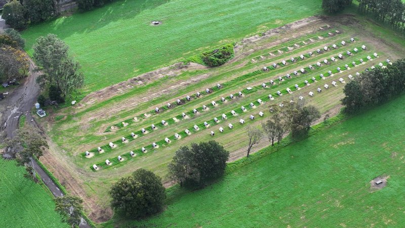 NSW Dairy Calf Crates - 2025