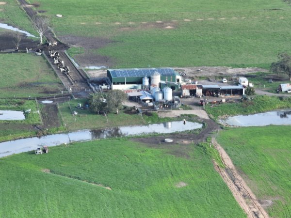 NSW Dairy Farms - 2025