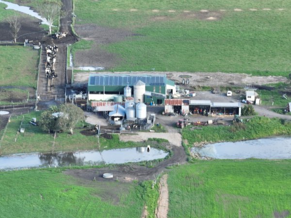 NSW Dairy Farms - 2025