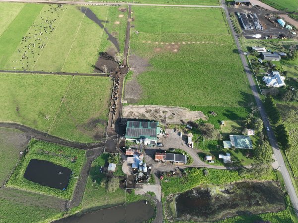 NSW Dairy Farms - 2025