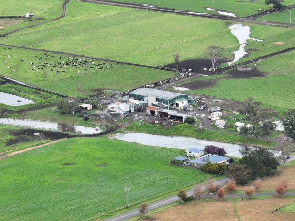 NSW Dairy Farms - 2025