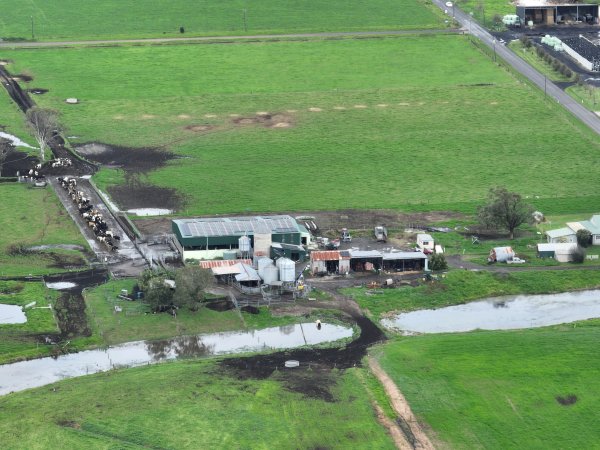 NSW Dairy Farms - 2025