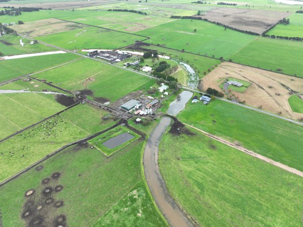 NSW Dairy Farms - 2025