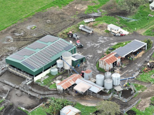 NSW Dairy Farms - 2025