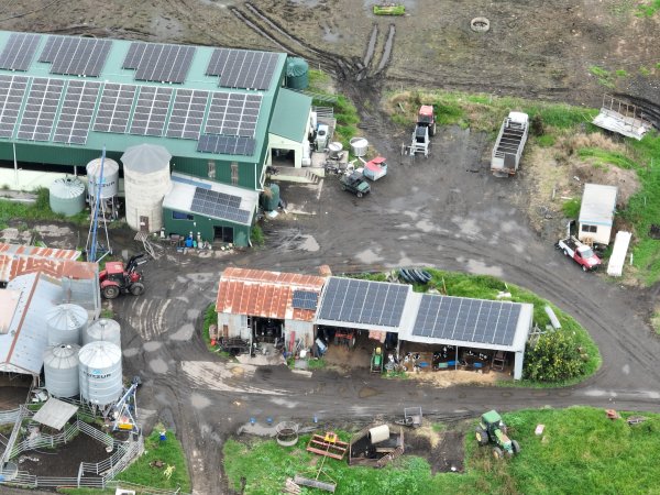 NSW Dairy Farms - 2025