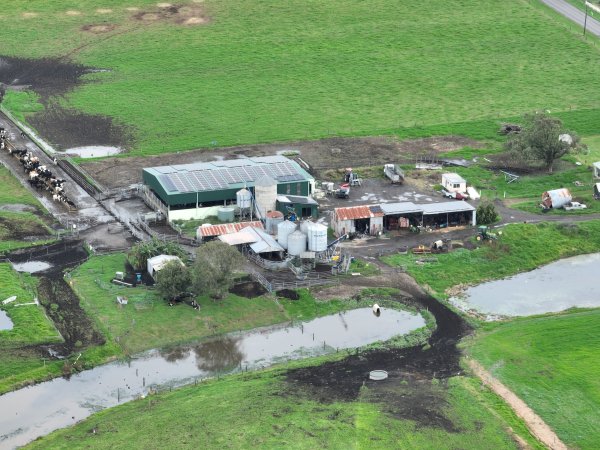 NSW Dairy Farms - 2025