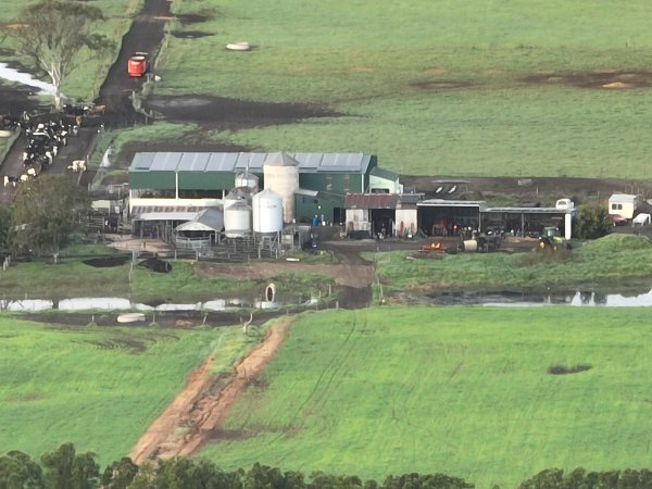 NSW Dairy Farms - 2025