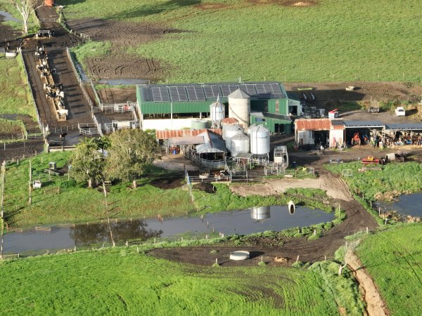 NSW Dairy Farms - 2025