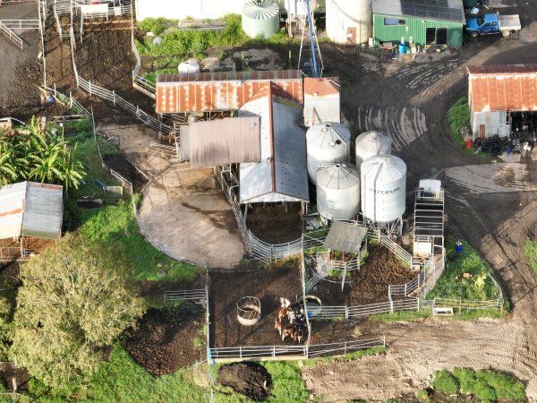 NSW Dairy Farms - 2025