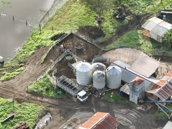 NSW Dairy Farms - 2025