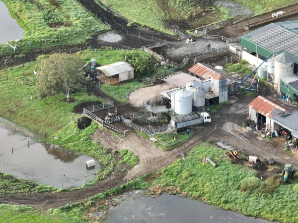 NSW Dairy Farms - 2025