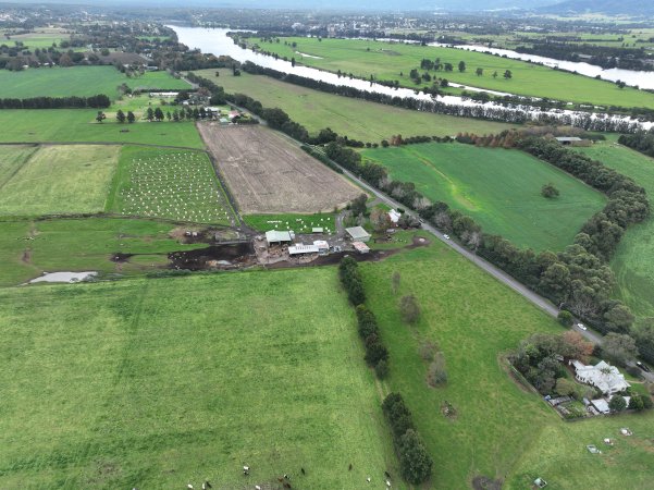 NSW Dairy farm and calf crates - 2025