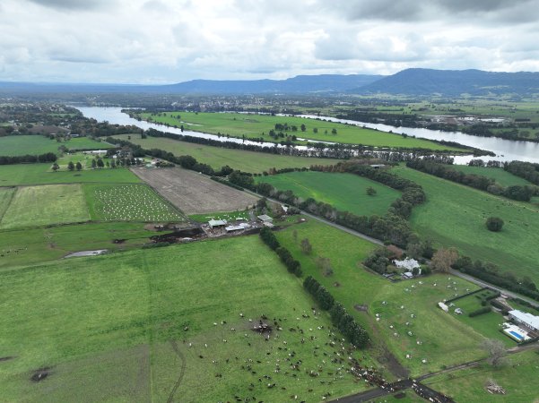 NSW Dairy farm and calf crates - 2025