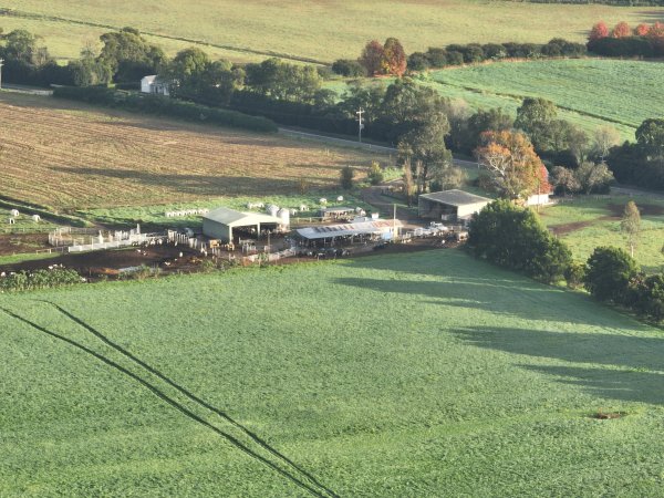 NSW Dairy farm and calf crates - 2025