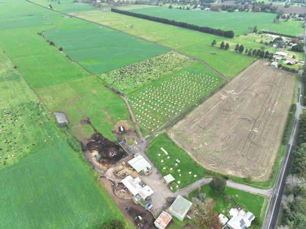 NSW Dairy farm and calf crates - 2025