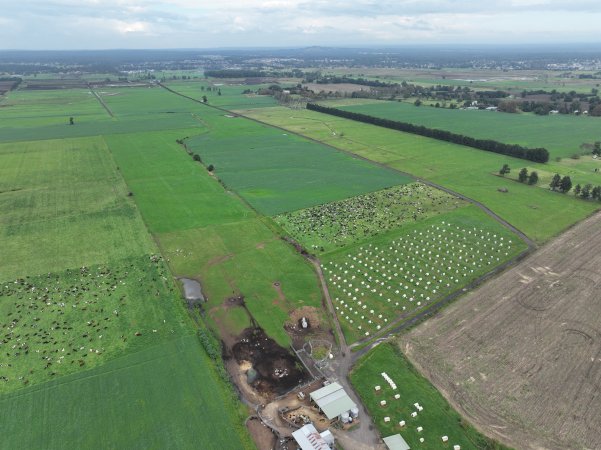 NSW Dairy farm and calf crates - 2025