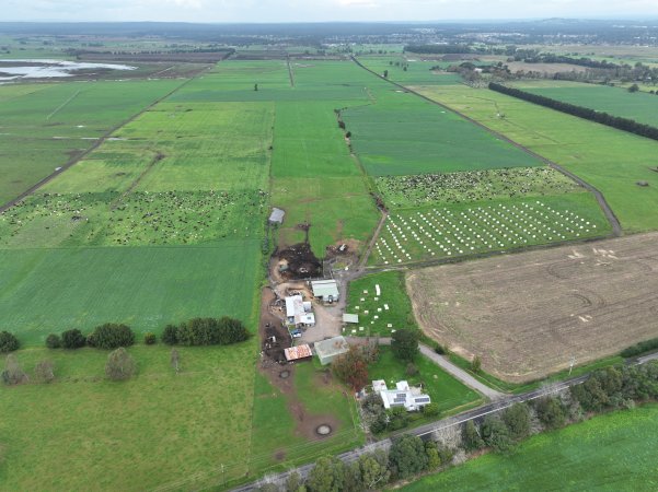 NSW Dairy farm and calf crates - 2025