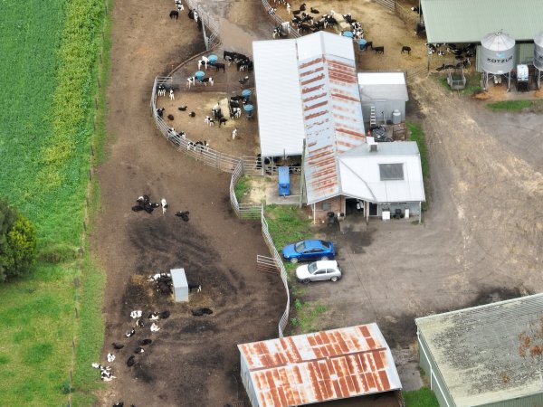 NSW Dairy farm and calf crates - 2025