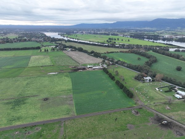 NSW Dairy farm and calf crates - 2025