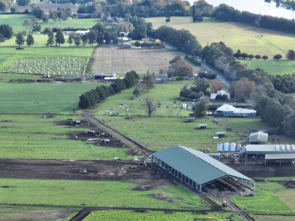 NSW Dairy Farms - 2025
