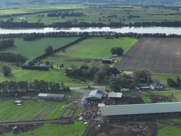 NSW Dairy Farms - 2025