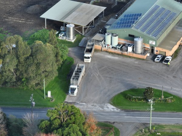 NSW Dairy Farms - 2025