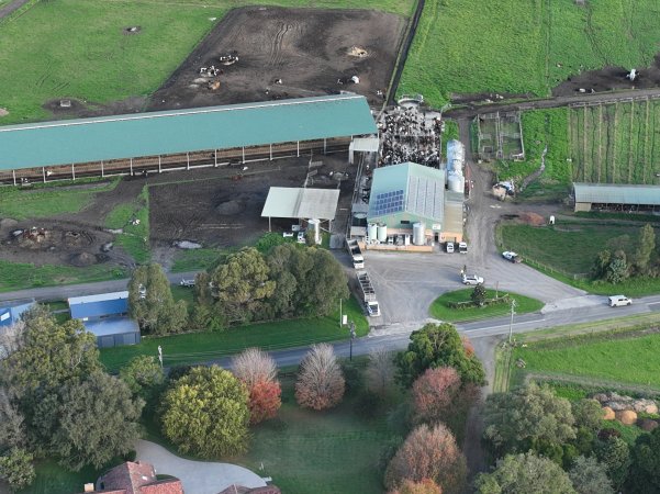 NSW Dairy Farms - 2025