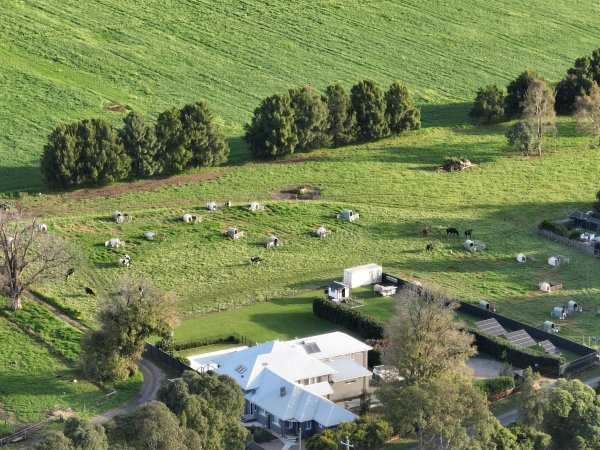 NSW Dairy Farms - 2025