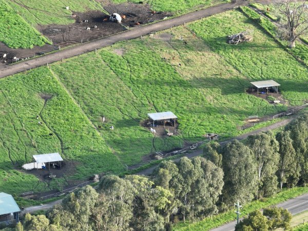 NSW Dairy Farms - 2025