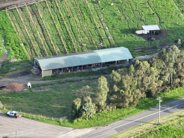 NSW Dairy Farms - 2025