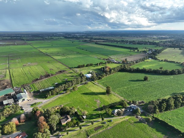 NSW Dairy Farms - 2025