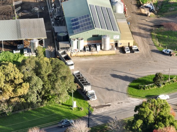 NSW Dairy Farms - 2025