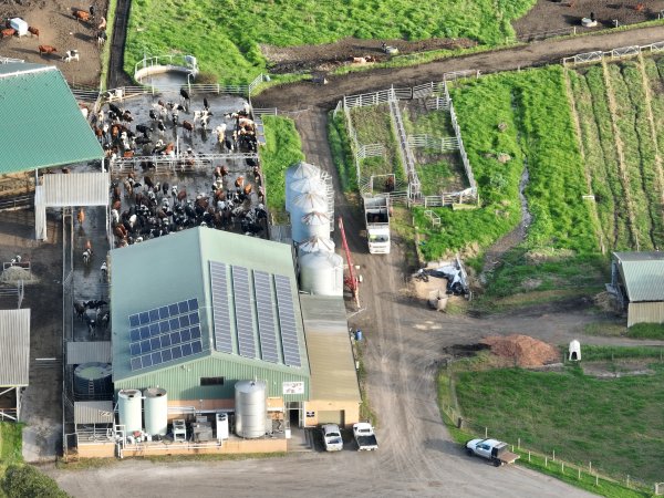 NSW Dairy Farms - 2025