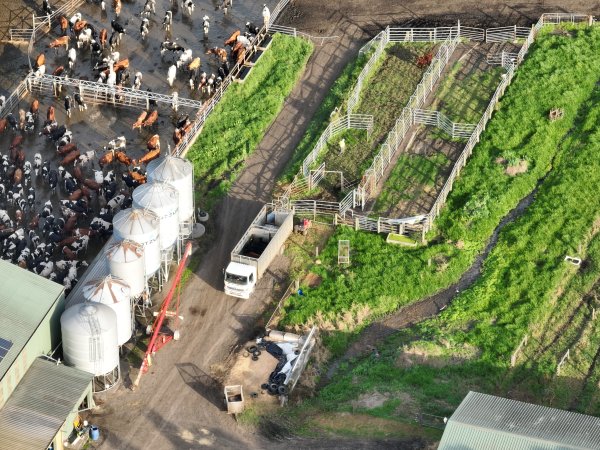 NSW Dairy Farms - 2025