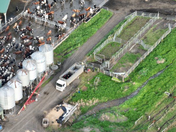 NSW Dairy Farms - 2025