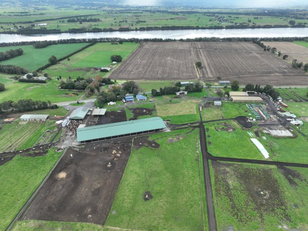 NSW Dairy Farms - 2025