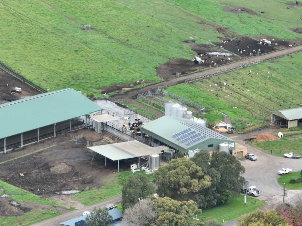 NSW Dairy Farms - 2025