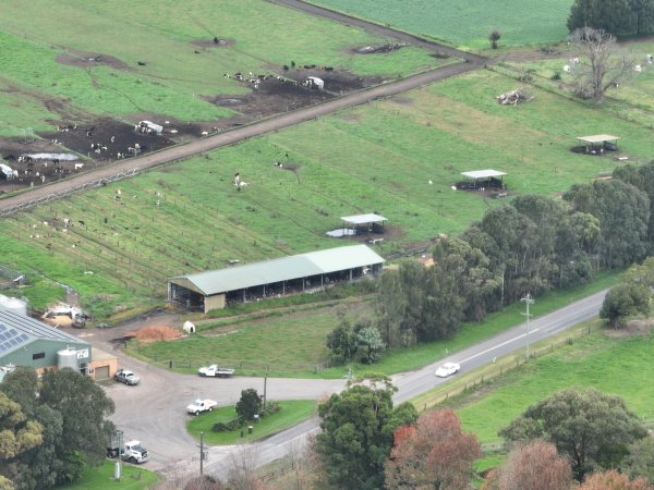 NSW Dairy Farms - 2025