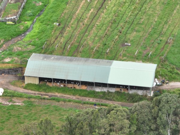 NSW Dairy Farms - 2025