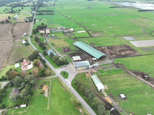 NSW Dairy Farms - 2025