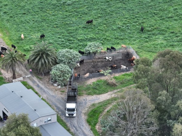 NSW Dairy Farms - 2025