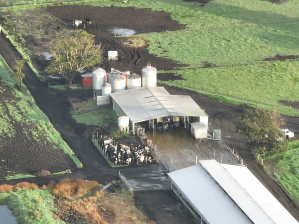 NSW Dairy farms - 2025