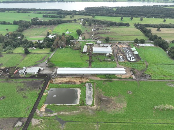 NSW Dairy farms - 2025