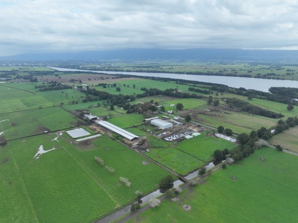 NSW Dairy farms - 2025