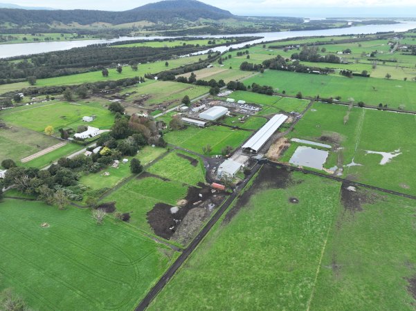 NSW Dairy farms - 2025